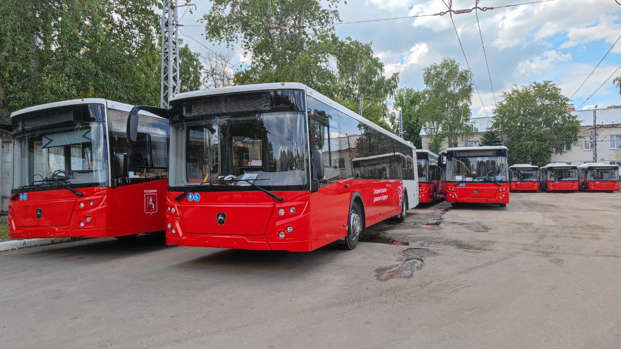 автобусы