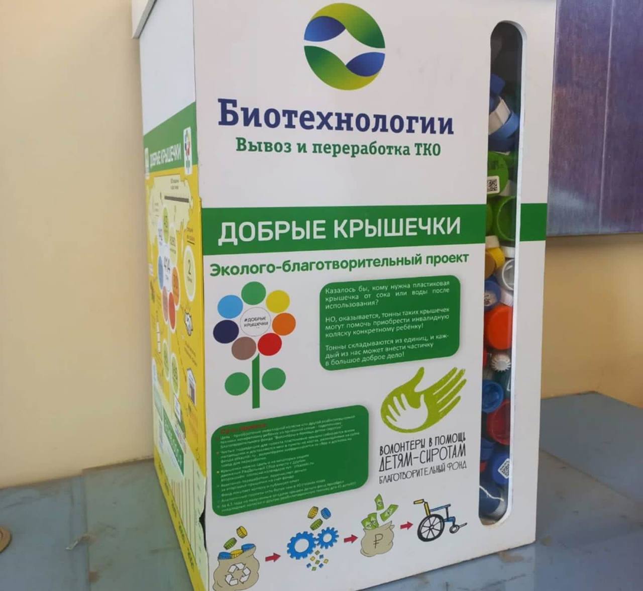 -крышечки