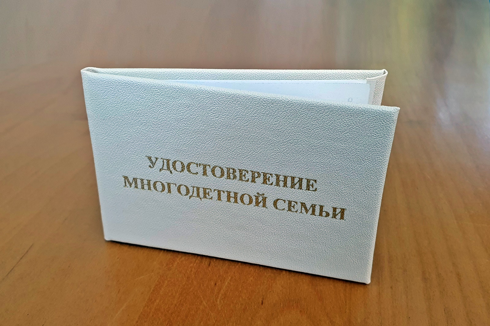  многодетных новое