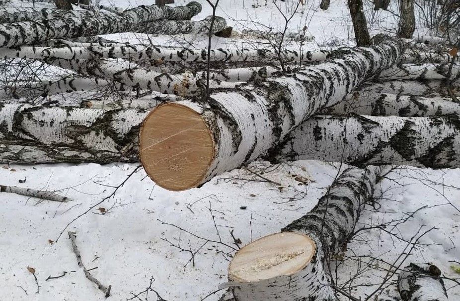 Прокуратура Селивановского района