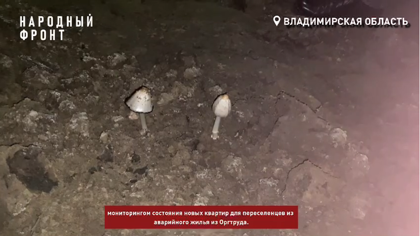 Бастрыкин потребовал доклад о квартирах для переселенцев во Владимире