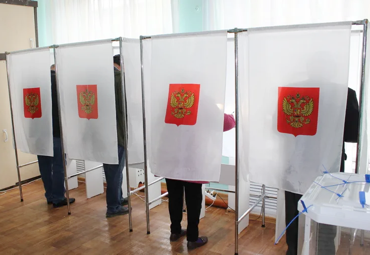 «Единороссы» во Владимире