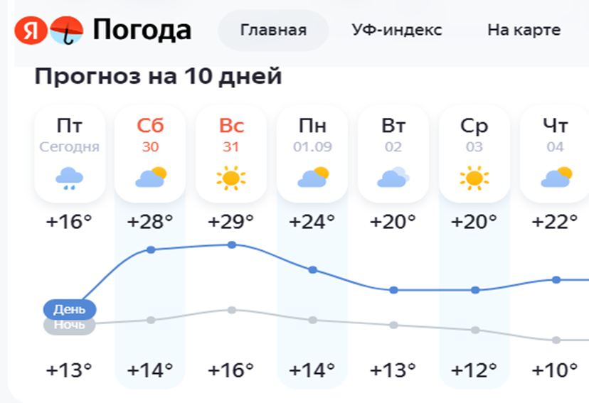 Жара накроет Владимирскую область в выходные