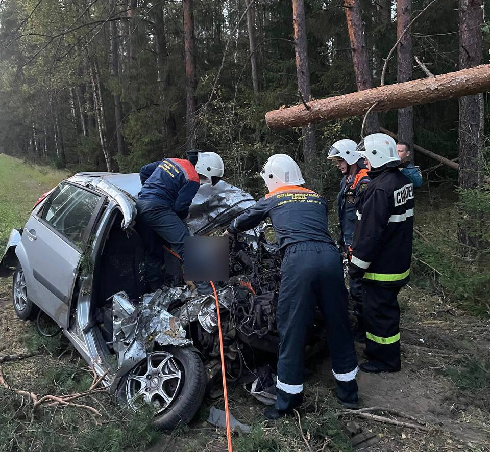 Смертельная авария под Киржачом унесла две жизни