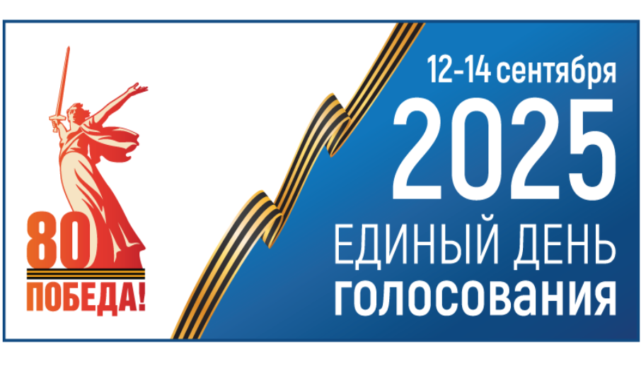 Избирательные участки города Владимира