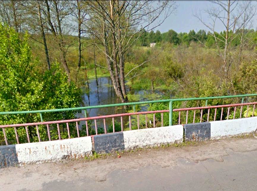 Во Владимирской области пытаются