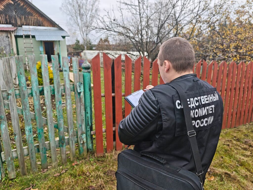 Двойное убийство в Юрьев-Польском: задержан сосед