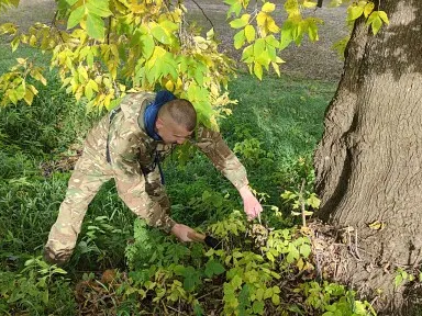Вся Владимирская область