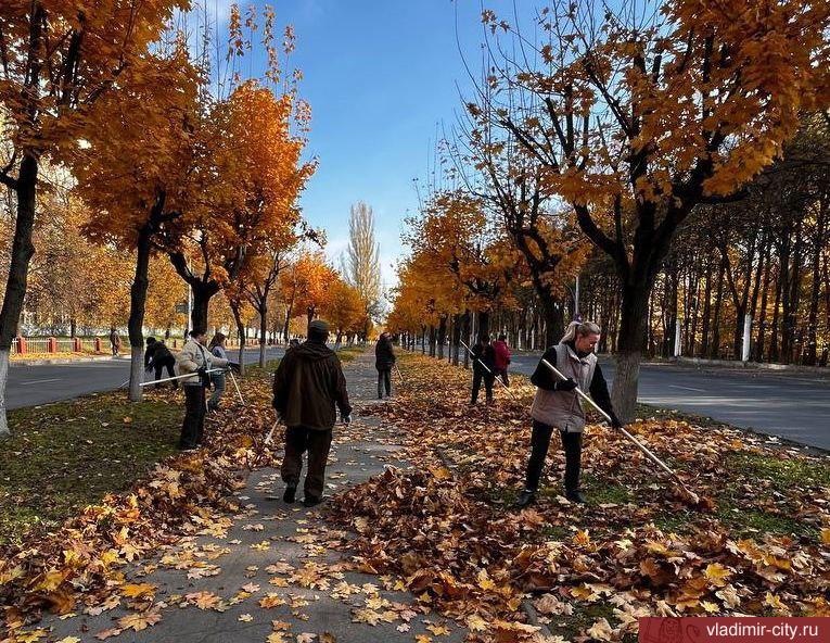 Вся Владимирская область