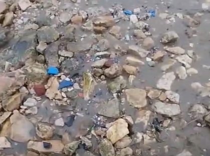 Клязьму снова загрязняют пластиком во Владимире