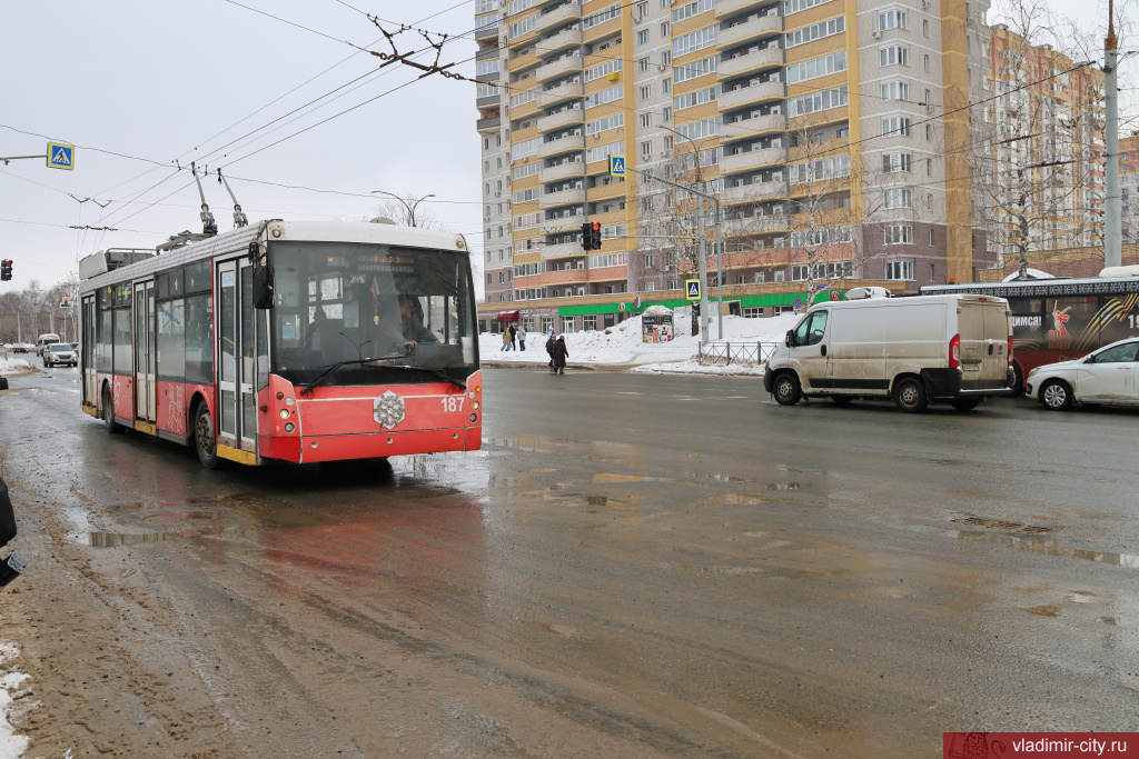 Во Владимире ловили «зайцев»