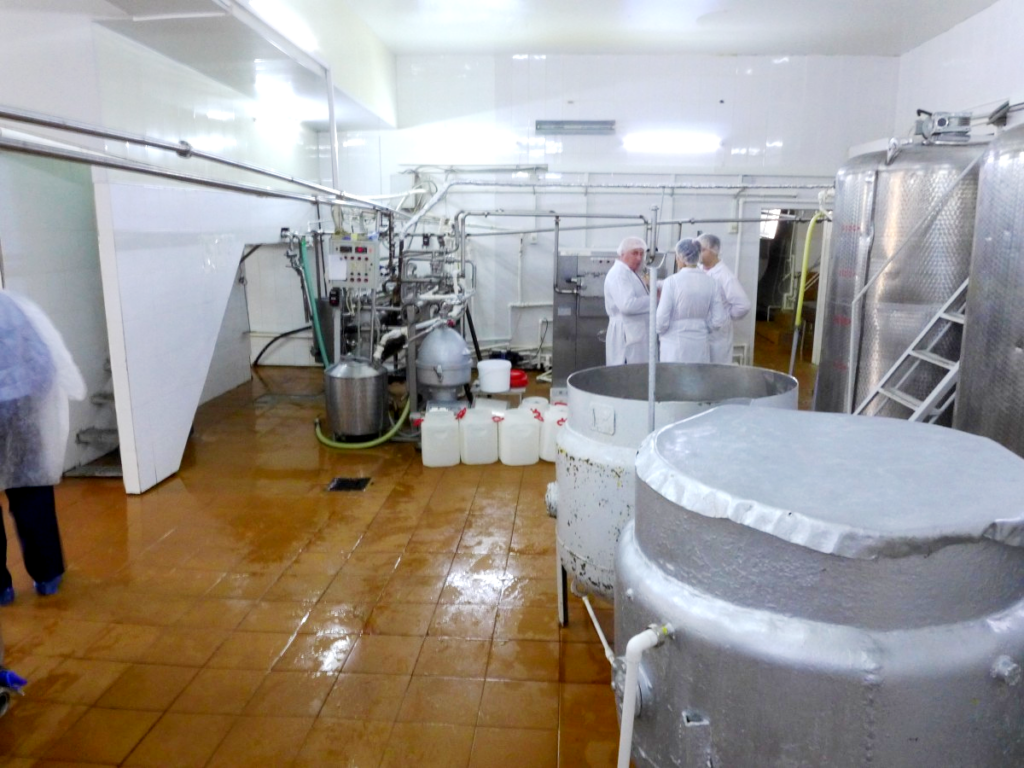 К вязниковской молочной продукции опять появились претензии