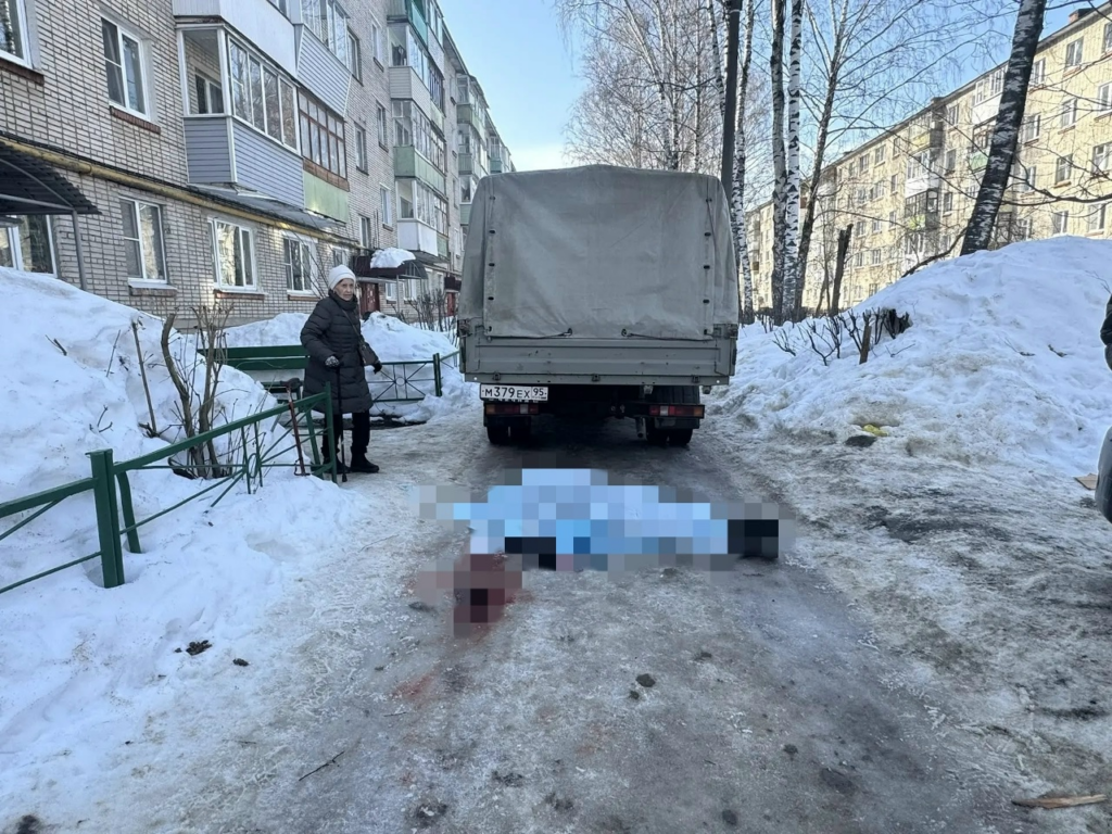 Водитель Газели, который задавил 85-летнюю пенсионерку, отправится в колонию-поселение