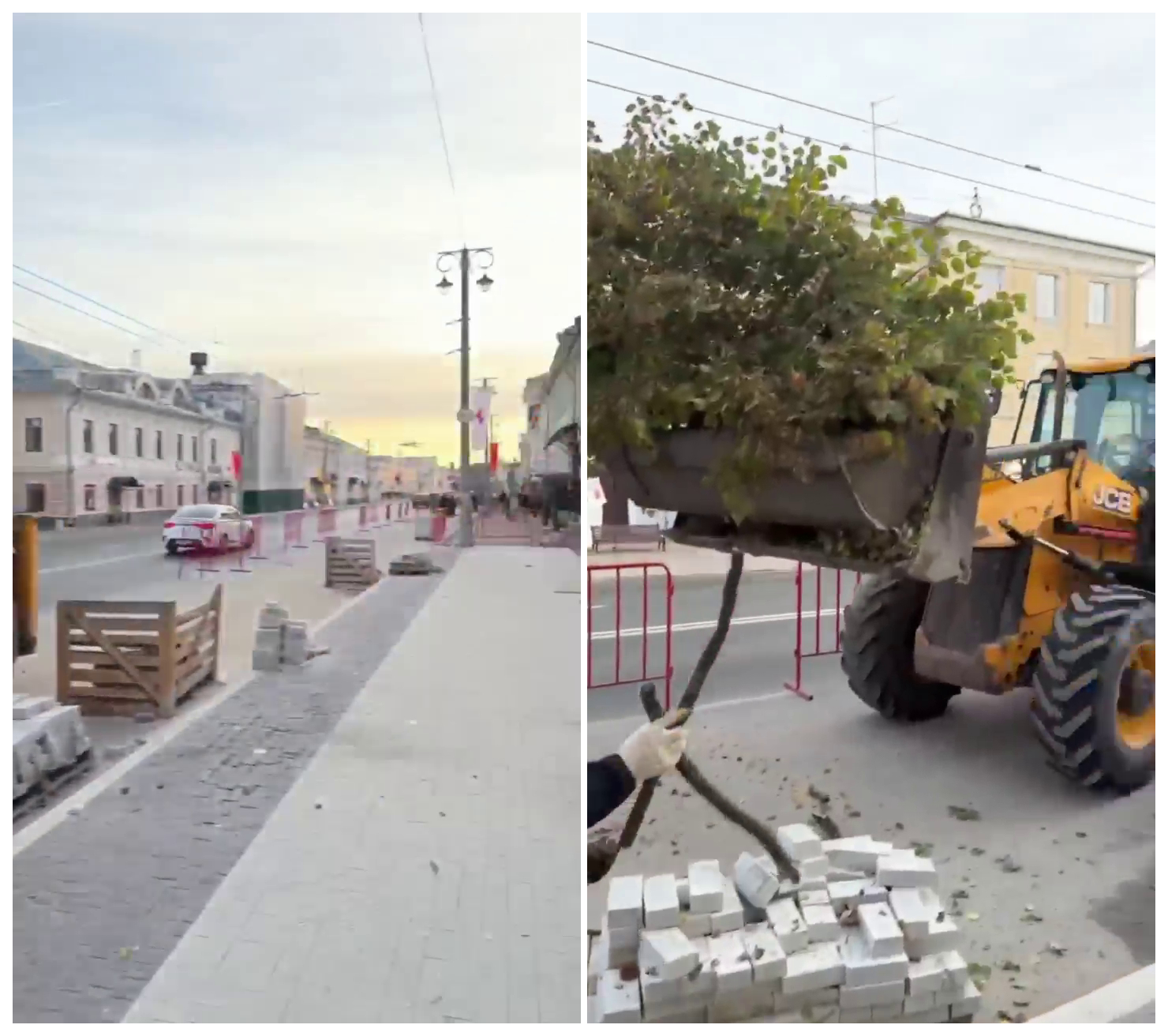  деревьев в центре, Владимир_1