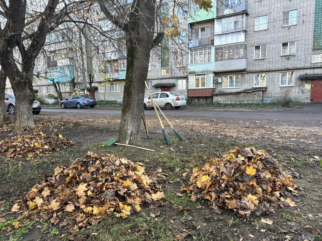 Осенний субботник в Покрове